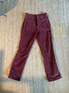 Free People Cropped velvet Pants in Deep Wine